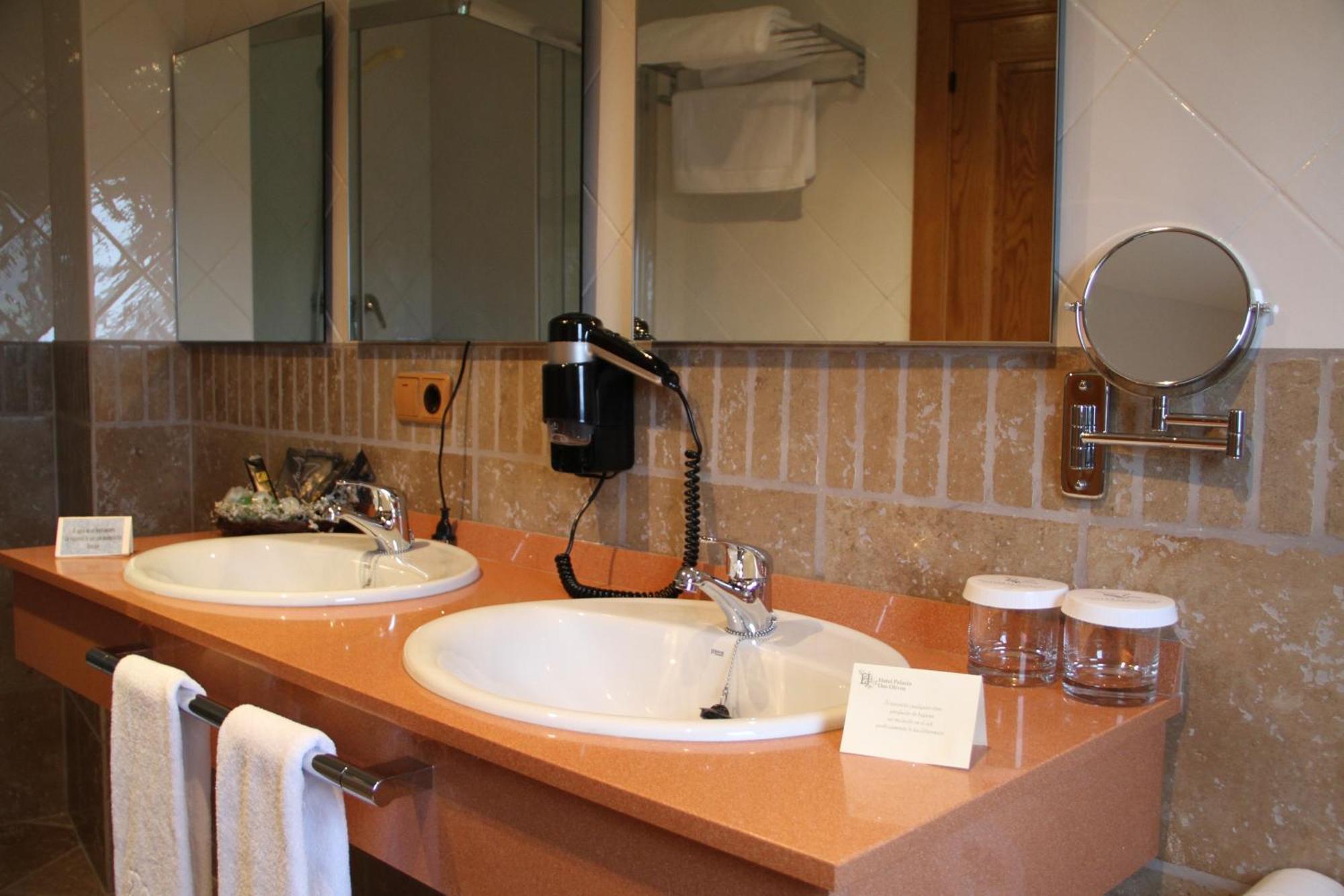 Hotel Palacio Dos Olivos Galdeano 部屋 写真